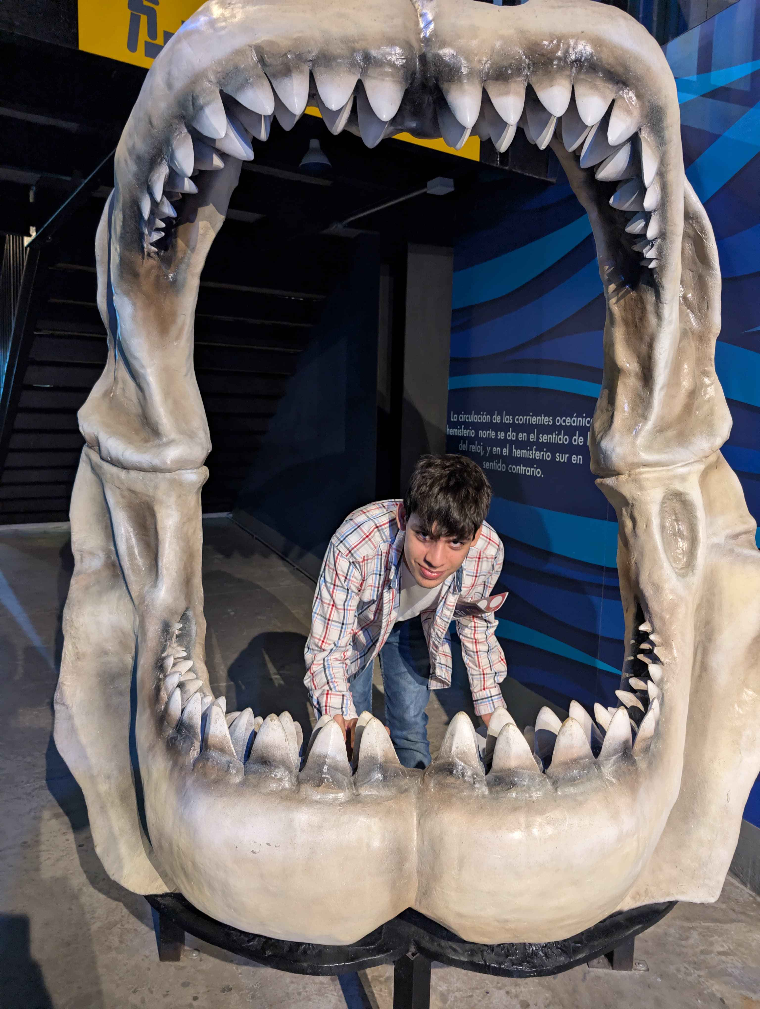Christian posing next to shark teeth at an aquarium